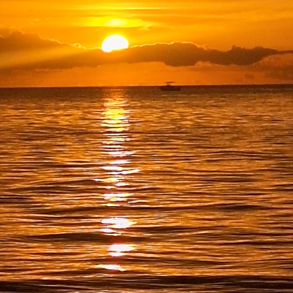 Meet your Posher, Hauling assests - Picture 2 of 2